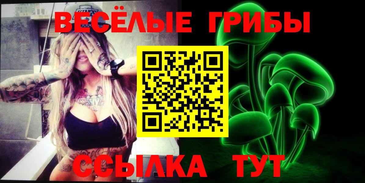 Галлюциногенные грибы ЛСД Вязники