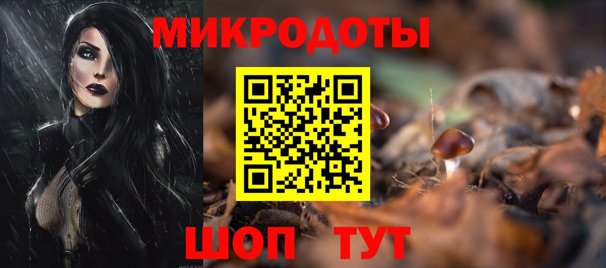Псилоцибиновые грибы Cubensis  Вход с VPN  Вязники 